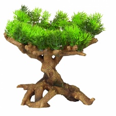 AQUA DELLA Растение для аквариумов "Florascape 11", 22х19х23,5см