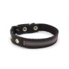 Ошейник кож. N30 в 2 кожи укр (55 см) PerseiLine