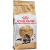 Royal Canin Adult Maine Coon сухой корм для кошек породы Мэйн Кун